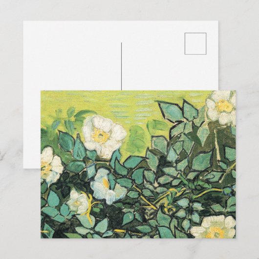 Vincent Van Gogh - Wilde Rozen 1890 Briefkaart (Voorkant / Achterkant)