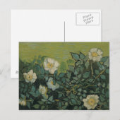 Vincent van Gogh - Wilde Rozen Briefkaart (Voorkant / Achterkant)