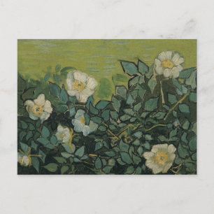 Vincent van Gogh - Wilde Rozen Briefkaart
