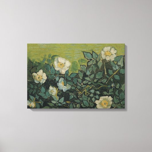 Vincent van Gogh - Wilde Rozen Canvas Afdruk (Voorkant)