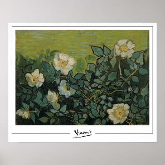 Vincent Van Gogh Zedign Art Poster #21 (Voorkant)