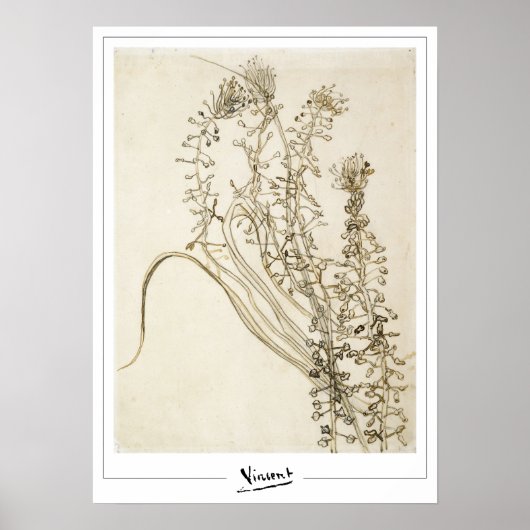Vincent Van Gogh Zedign Art Poster #356-3 (Voorkant)