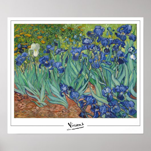 Vincent Van Gogh Zedign Art Poster #45-3 (Voorkant)