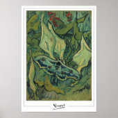 Vincent Van Gogh Zedign Art Poster #49-3 (Voorkant)