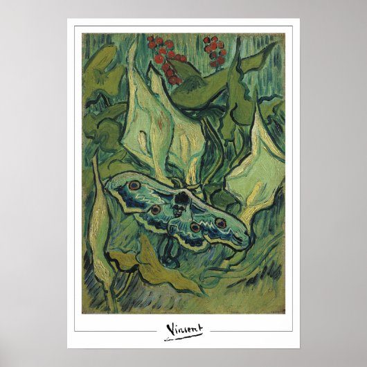 Vincent Van Gogh Zedign Art Poster #49-3 (Voorkant)