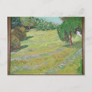 Vincent van Gogh   Zonneveld, 1888 Briefkaart