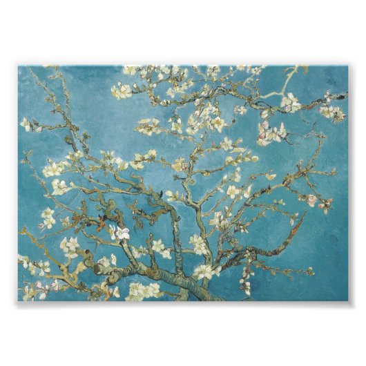 Vincent van Gogh's Almond Blossom (1890) Foto Afdruk (Voorkant)
