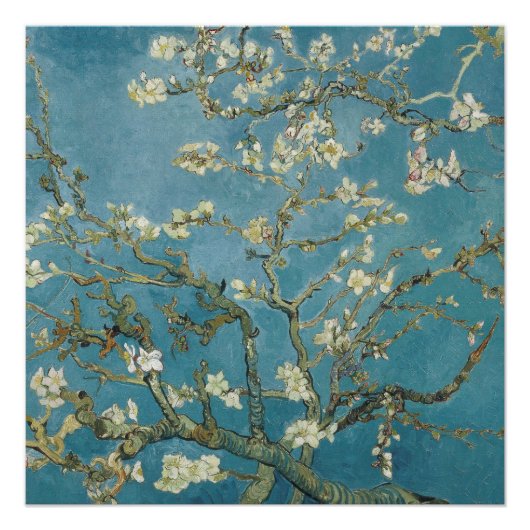 Vincent van Gogh's Almond Blossom (1890) Perfect Poster (Voorkant)