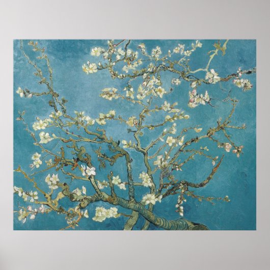 Vincent van Gogh's Almond Blossom (1890) Poster (Voorkant)