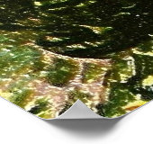 Vincent van Gogh's "Field with Poppies" (1889) Poster (Hoek)