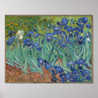 Vincent Van Gogh's Iopen.