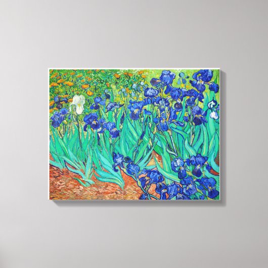 Vincent Van Gogh's Irissen (1889). Canvas Afdruk (Voorkant)