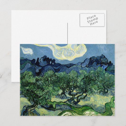 Vincent van Gogh's Olijfbomen (1889) Briefkaart (Voorkant / Achterkant)