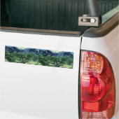 Vincent van Gogh's Olijfbomen (1889) Bumpersticker (Op Truck)