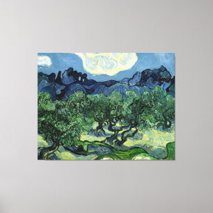 Vincent van Gogh's olijfbomen (1889) Canvas Afdruk