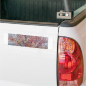 Vincent_Willem_van_Gogh Bumpersticker (Op Truck)