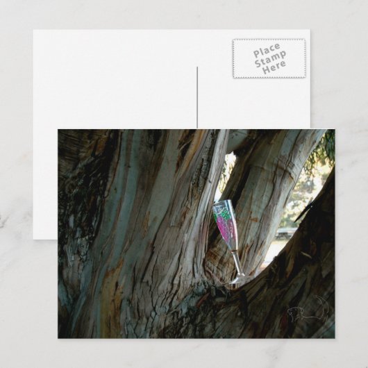 Vind de perfecte plek en tijd voor wijn briefkaart (Voorkant / Achterkant)