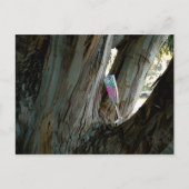 Vind de perfecte plek en tijd voor wijn briefkaart (Voorkant)