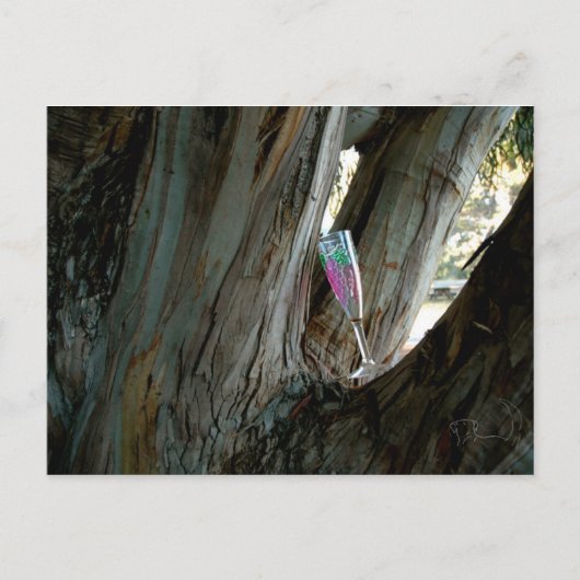 Vind de perfecte plek en tijd voor wijn briefkaart (Voorkant)