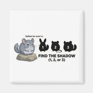 Vind de schaduw van de Chinchilla Animal World Que Magneet