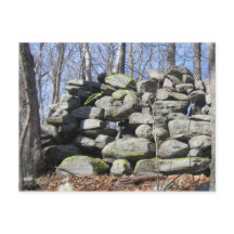 Vind de Turtles Ceremoniële Steen