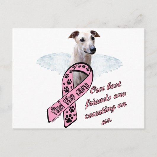 Vind de Vleugels van de Behandeling ~ Briefkaart (Voorkant)