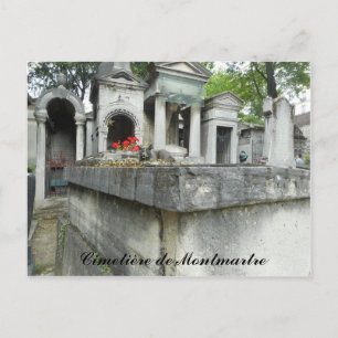 Vind een Kat! (tekst) Briefkaart