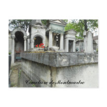 Vind een Kat! (tekst)