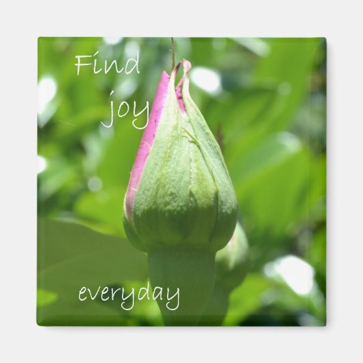 Vind elke dag vreugde magneet (Voorkant)