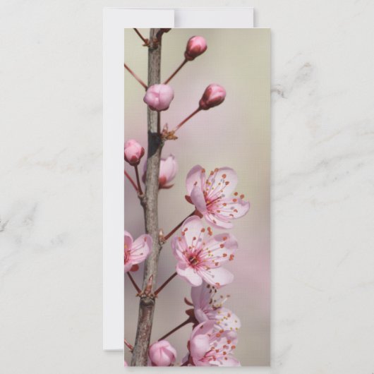 Vind Joy Cherry Blossom Bladwijzer (Achterkant)