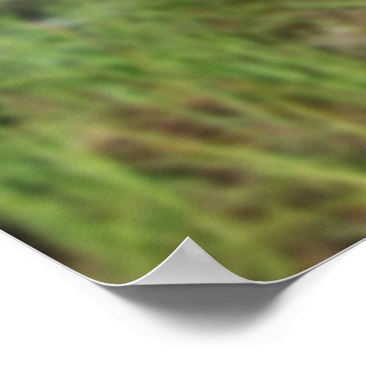 Vind uw gelukkige plaats Inspirerend Poster (Hoek)