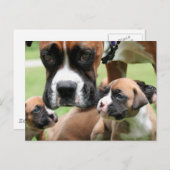 Vindy and Pups - Foto 09 Briefkaart (Voorkant / Achterkant)