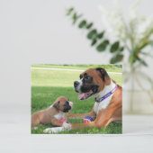 Vindy and Pups - Foto 95 Briefkaart (Staand voorkant)