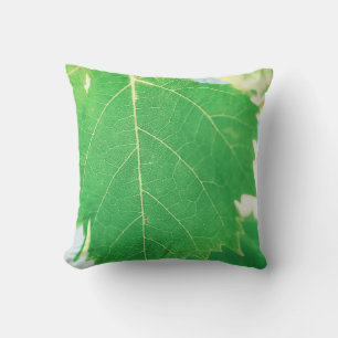Vine Green Leaf Blue Sky Focus Kussen Kussen Kusse