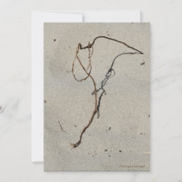 Vine/Standing Rock, Cannon Beach, Oregon Kaart