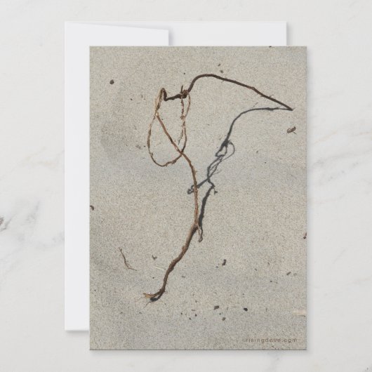 Vine/Standing Rock, Cannon Beach, Oregon Kaart (Voorkant)