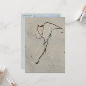 Vine/Standing Rock, Cannon Beach, Oregon Kaart (Voorkant / Achterkant in situ)