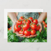 Vine Tomaten met Countryside Charm Feestdagenkaart (Voorkant / Achterkant)