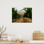 VINEYARD 3 POSTER (Keuken)