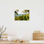 Vineyard bij Krems Poster (Keuken)