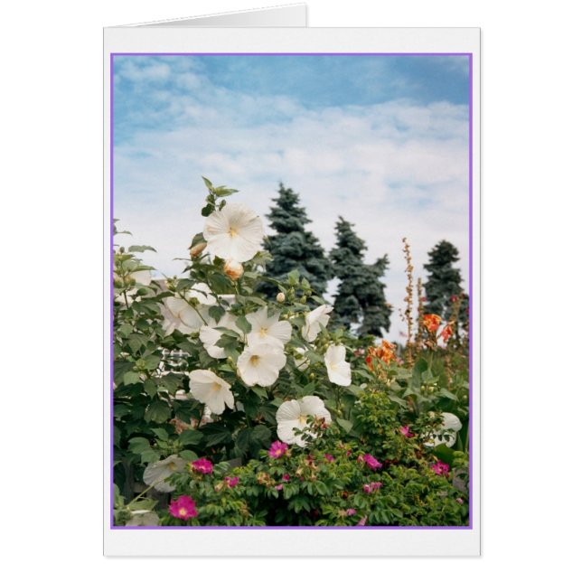 Vineyard Garden Card (Voorkant)