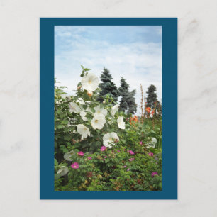 Vineyard Garden Summer Flowers Custom Briefkaart