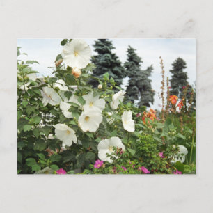 Vineyard Garden Summer Flowers Custom Briefkaart