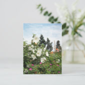 Vineyard Garden Summer Flowers Custom Briefkaarten (Staand voorkant)