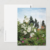 Vineyard Garden Summer Flowers Custom Briefkaarten (Voorkant / Achterkant)