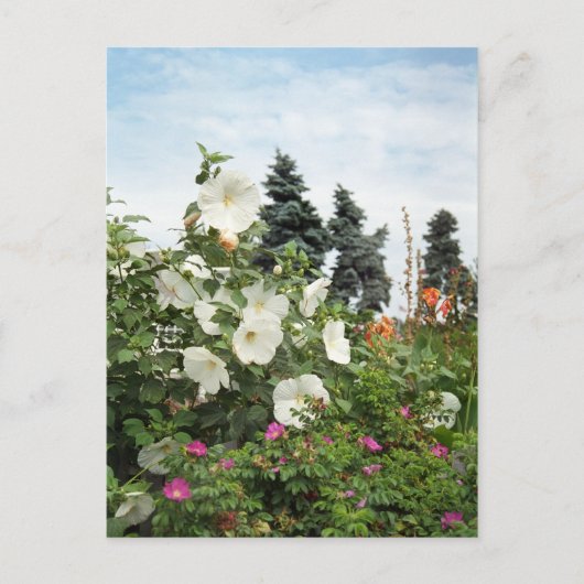 Vineyard Garden Summer Flowers Custom Briefkaarten (Voorkant)