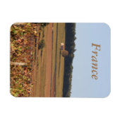 Vineyard in Frankrijk, gedrukt op een magneet (Horizontaal)