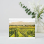 Vineyard in het najaar in Napa Valley California Briefkaart (Staand voorkant)