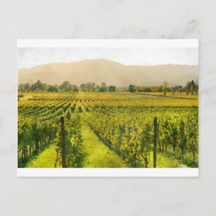 Vineyard in het najaar in Napa Valley California Briefkaart