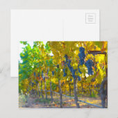 Vineyard in Napa Valley California Briefkaart (Voorkant / Achterkant)